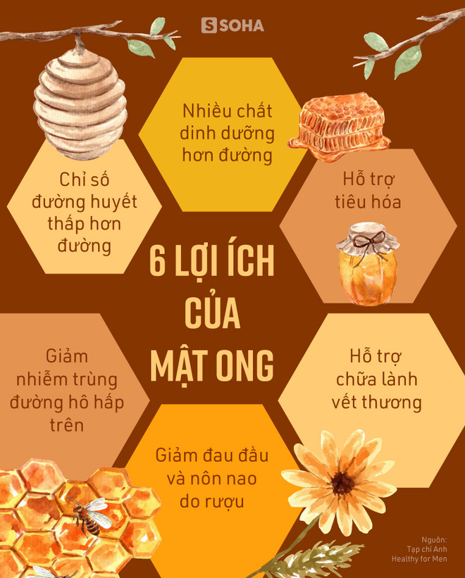 [COMBOFREESHIP]Mật Ong Lục Ngạn Nguyên Chất