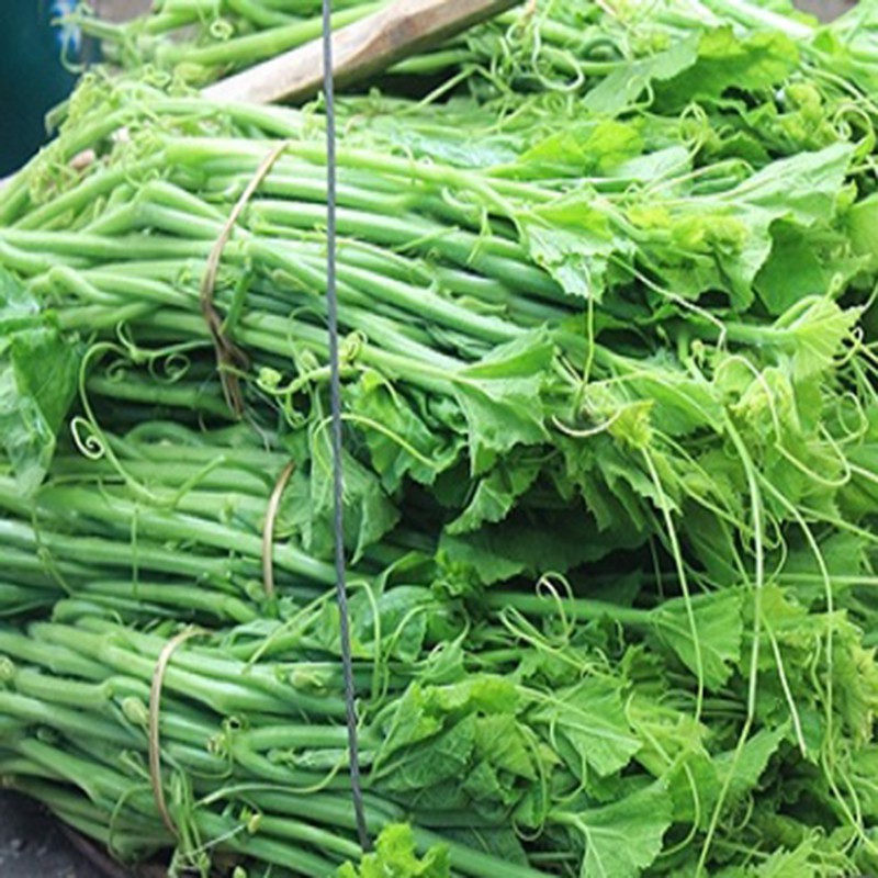 10Gram Hạt Giống Bí Siêu Đọt