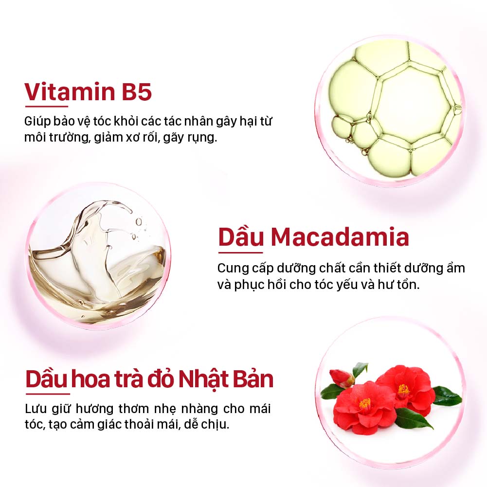 Hấp Dầu Phục Hồi Tóc – Macadamia, Tsubaki Lavox