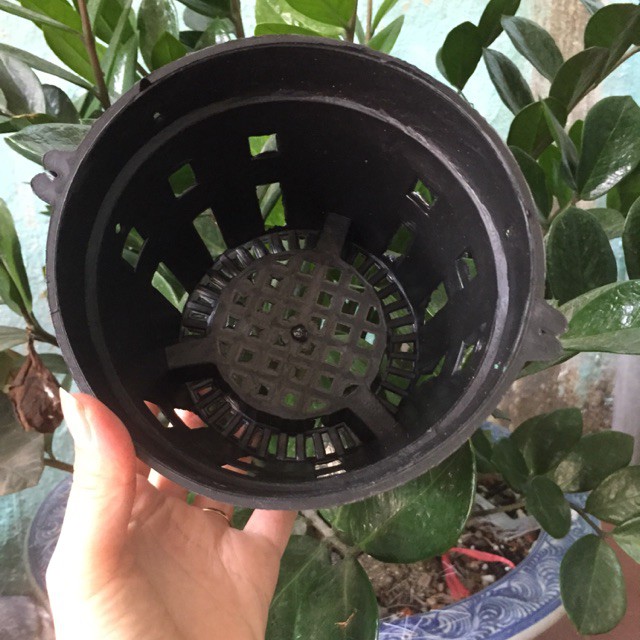 Chậu Nhựa Đen Trồng Lan Nhiều Lỗ Phi 18