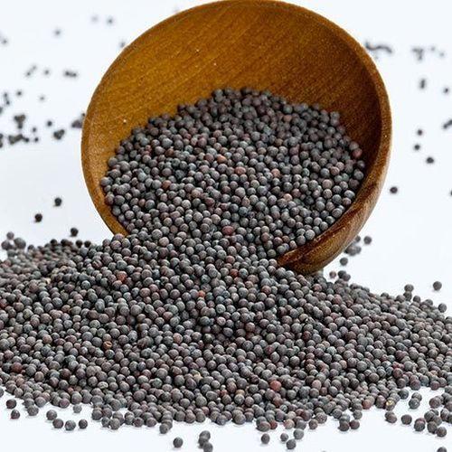 Black Mustard seeds - Sarso - Hạt Mù Tạt Rai/Sarson k dane ( 100g - 500g)