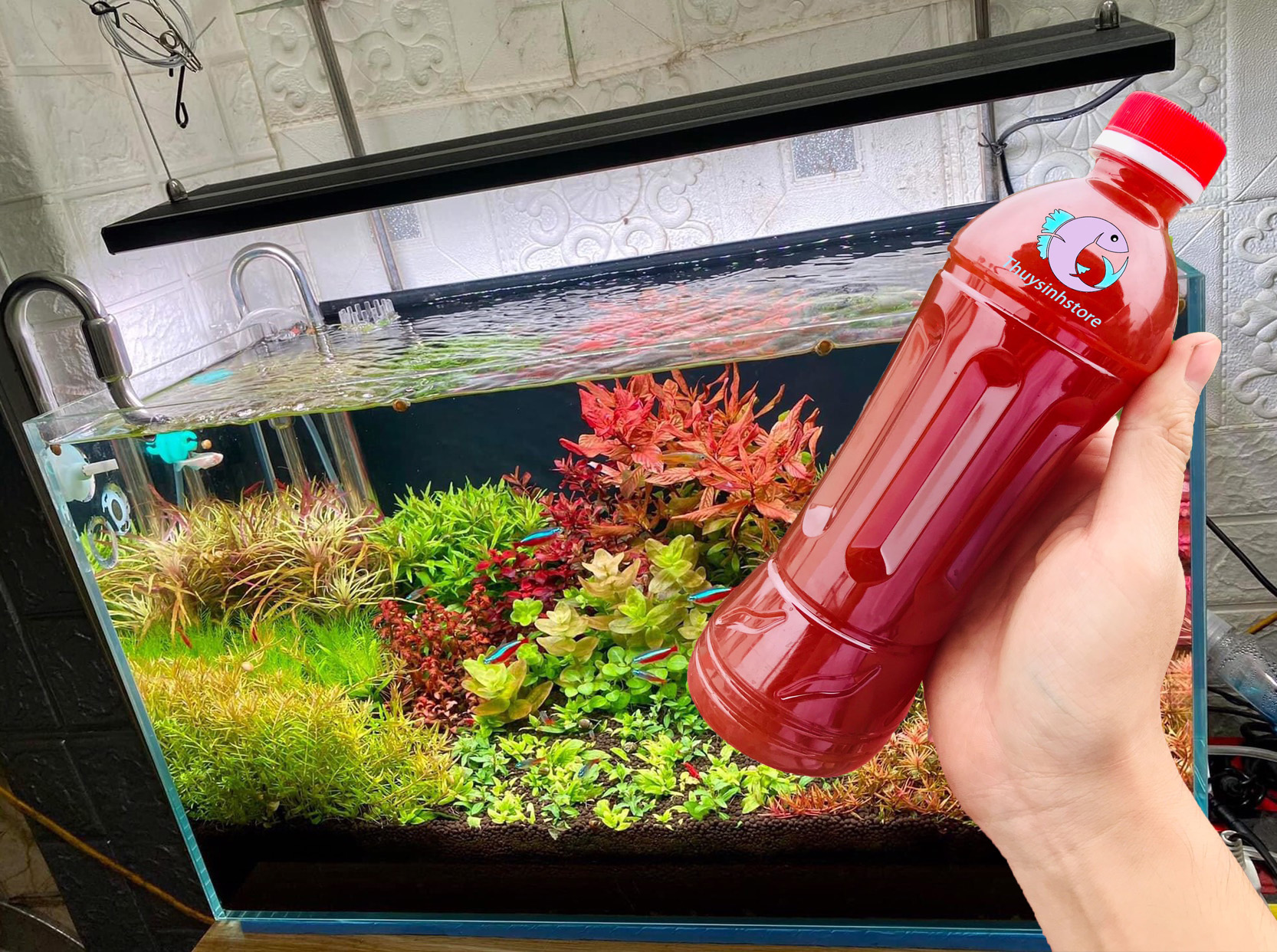 Vi sinh bể cá (5 lít) Men vi sinh  PSB+