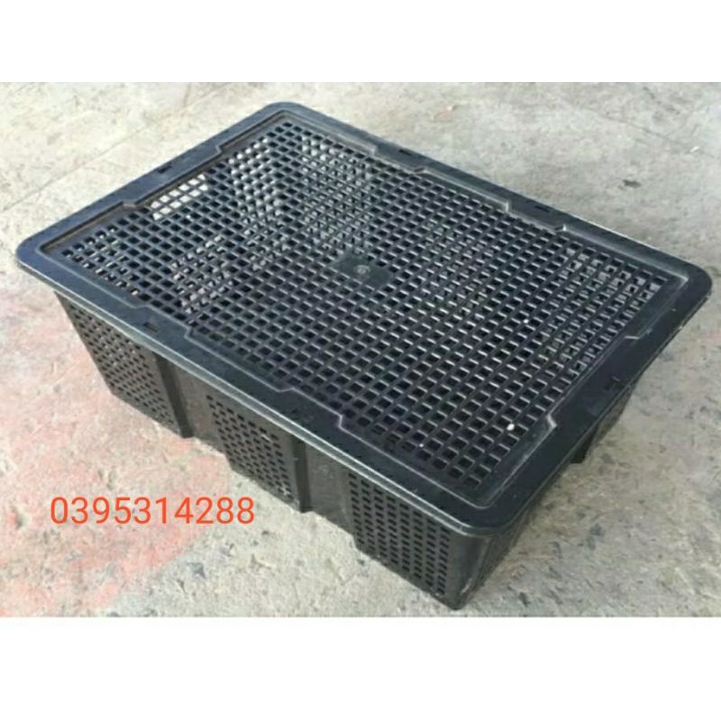 rỗ trái cây có nắp