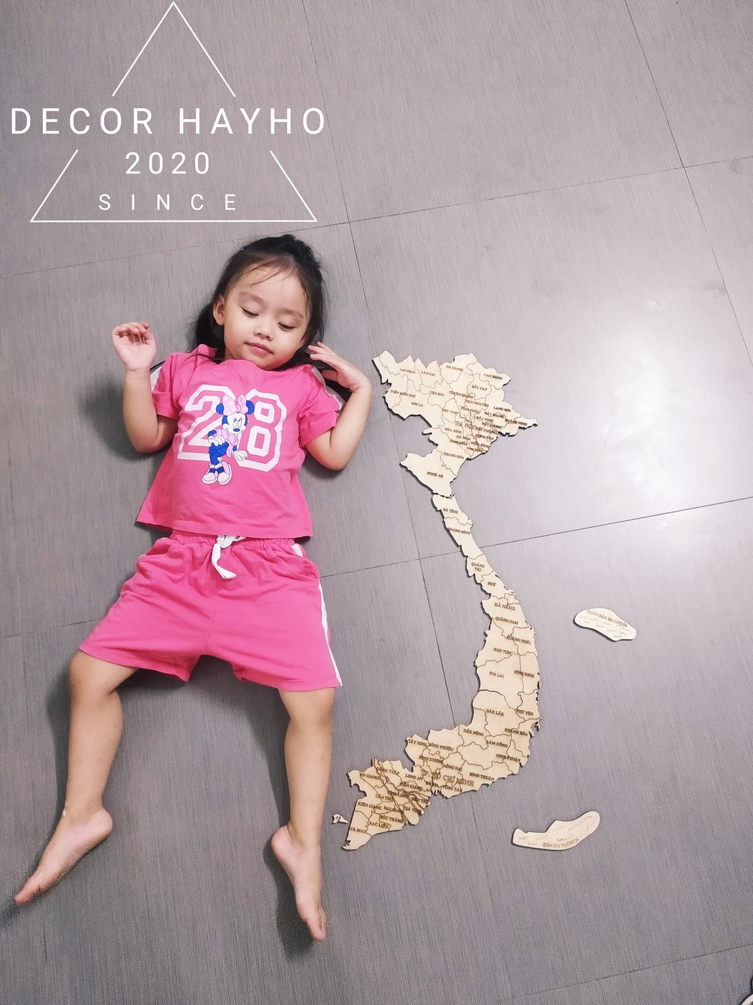 Tranh gỗ trang trí dán tường tự hào đất nước Việt Nam