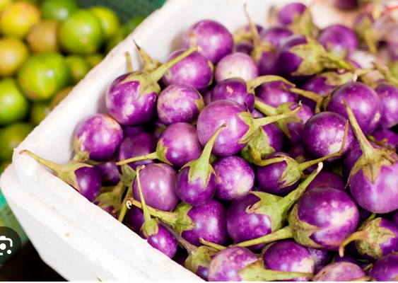 Hạt giống Cà Pháo Tím Rado 73 (0.5g)