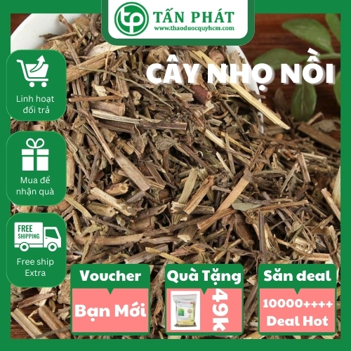 Cây nhọ nồi (cỏ mực) sấy khô 1kg - Tấn phát - Hàng công ty chất lượng cao