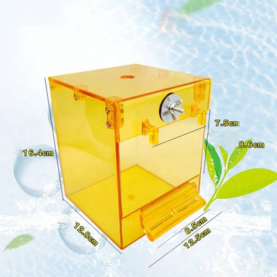 Hộp tắm cao cấp cho chim vẹt