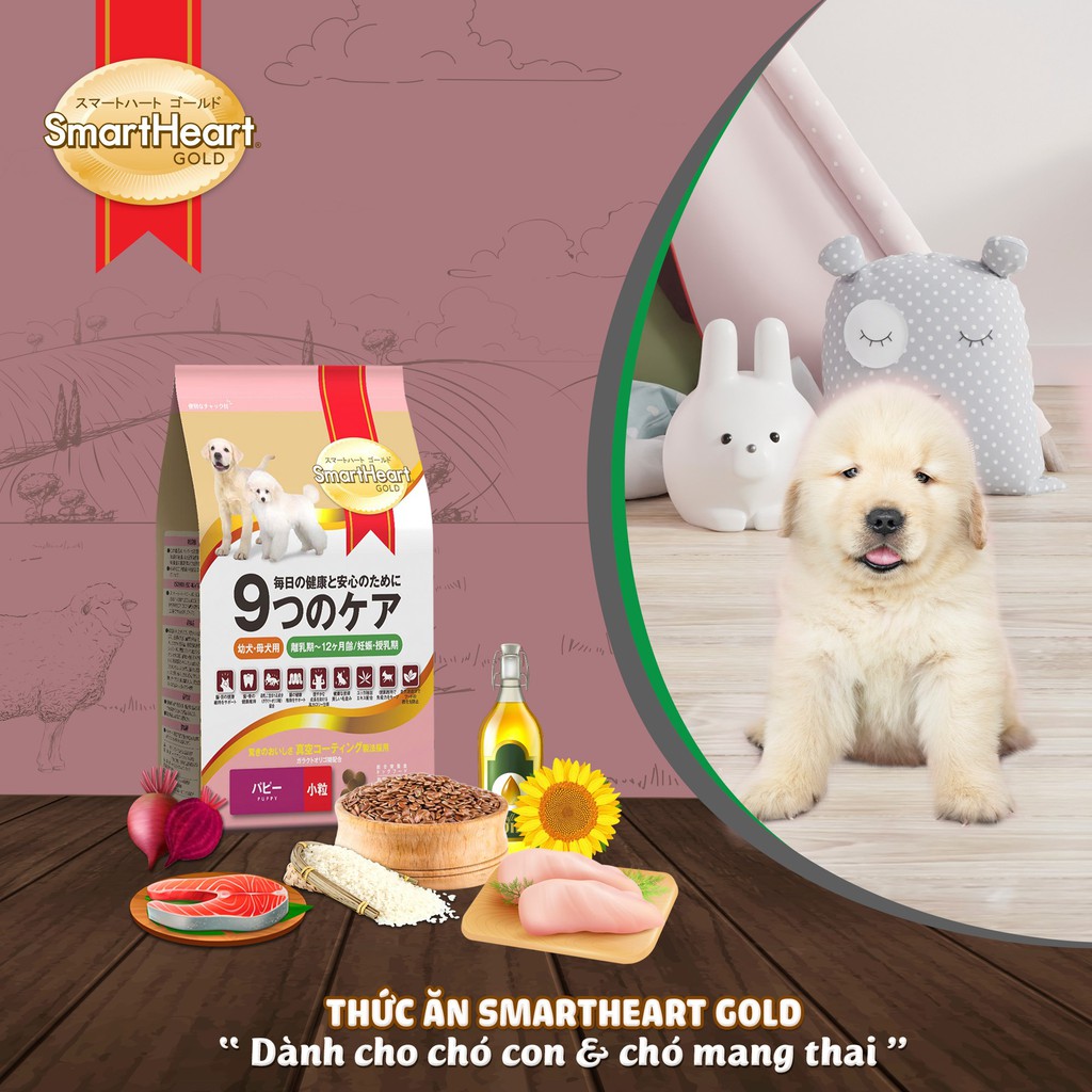 Hạt chó SmartHeart Gold cho chó cỡ nhỏ (Poodle, phốc, pug )