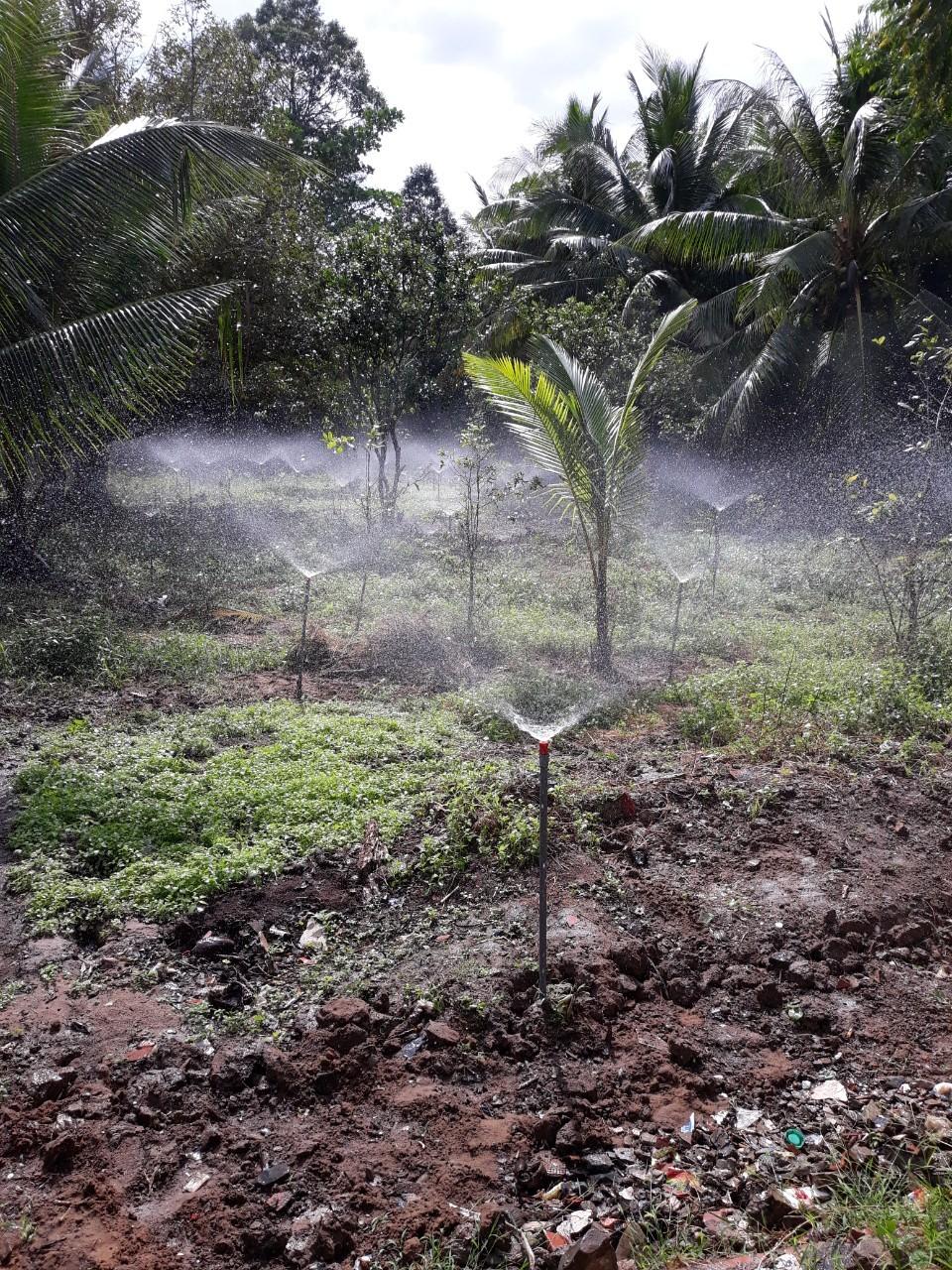 10 cái Béc vít màu đỏ (béc +răng nối)