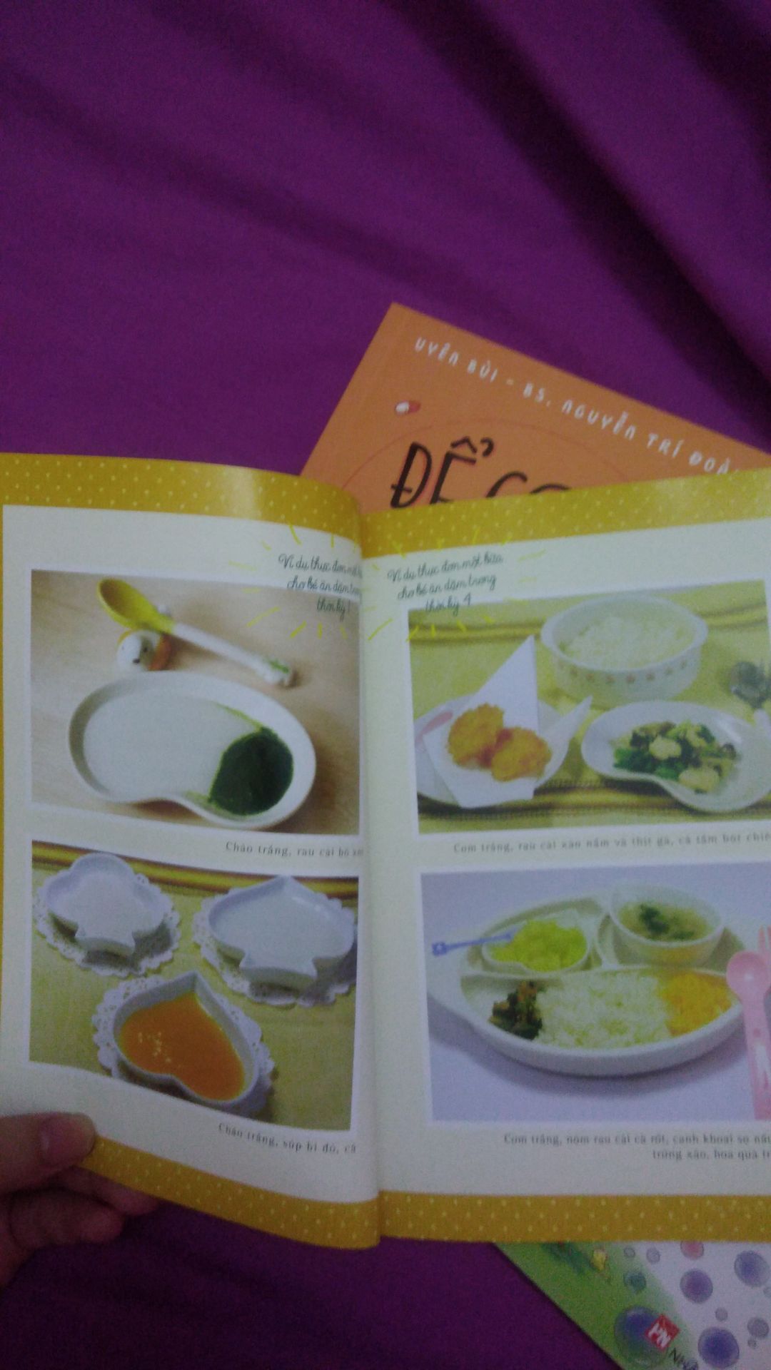 Sách -Ăn Dặm Không Nước Mắt