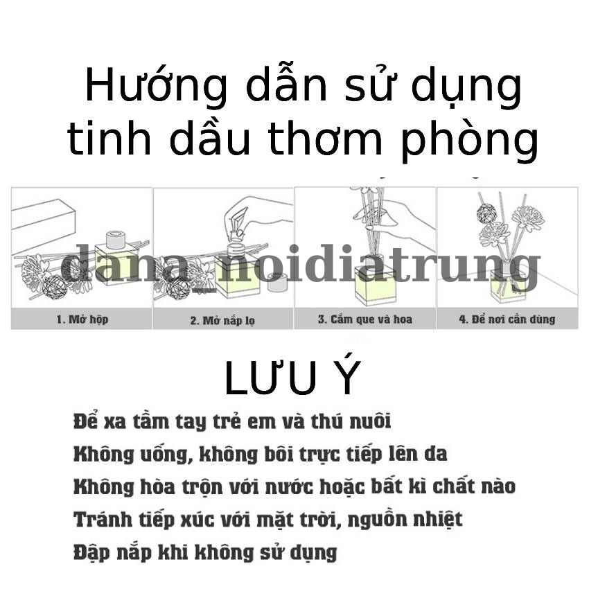 AI ổn định ra mắt StableStudio phiên bản mã nguồn mở của giải pháp chuyển  văn bản thành hình ảnh DreamStudio  All Things Windows