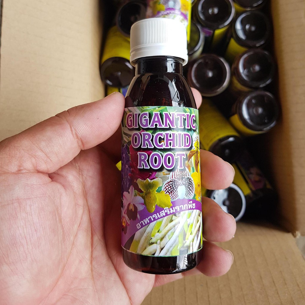Phân bón ích rễ Gigantic Orchid Root 100ml - Kích ra rễ nhiều, phát triển bộ rễ mạnh và khỏe hơn