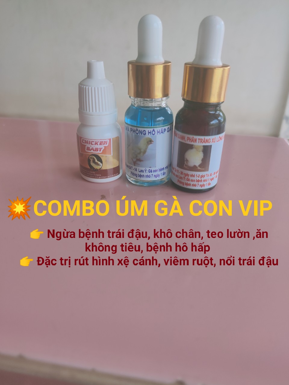 COMBO ÚM GÀ CON VIP.