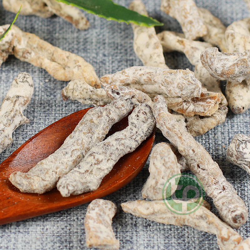 Bạch cương tằm 500g - Thảo Dược Tấn Phát