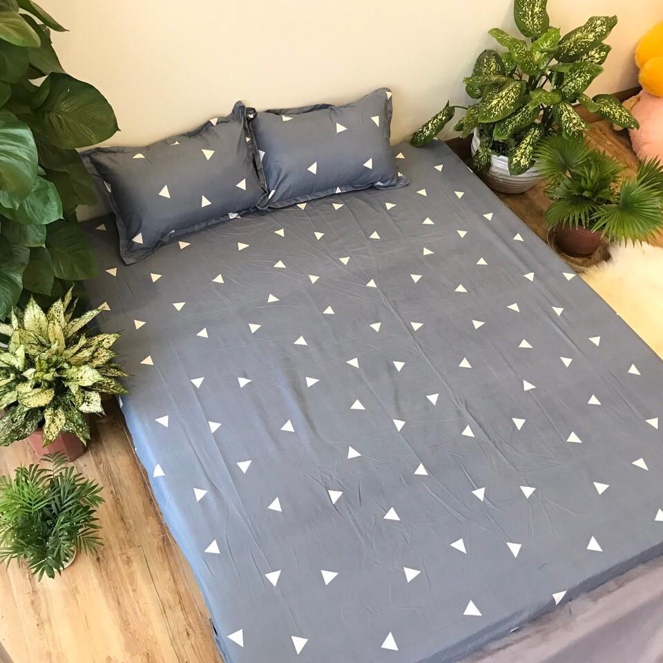 Bộ Ga Chun Vỏ Gối Cotton Poly Siêu Đẹp