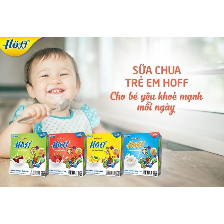 Sữa chua Hoff trái cây  (lốc 4 hộp) 6m