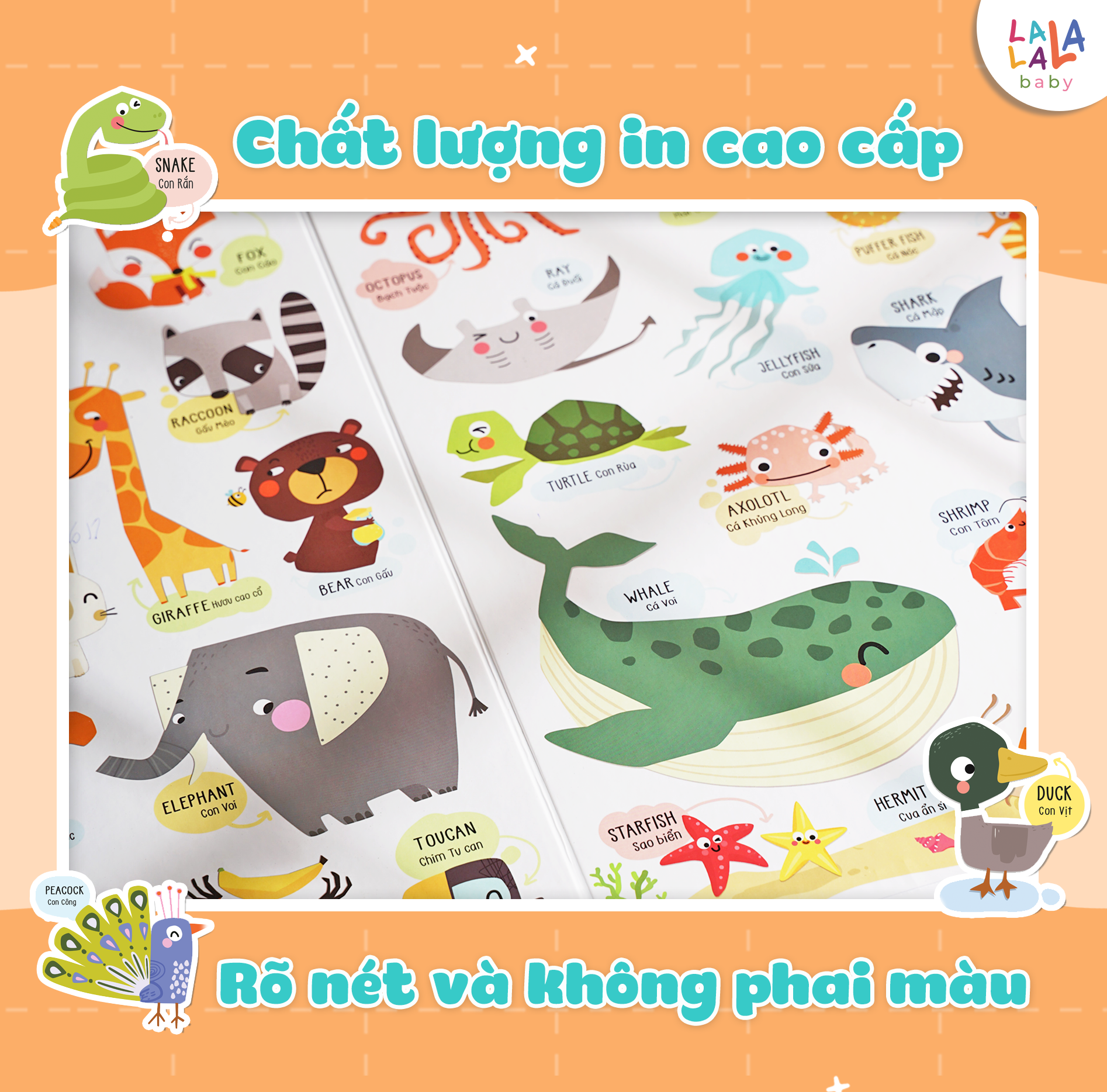 BẢNG GẤP THÔNG THÁI - MY FIRST LEARNING CHART