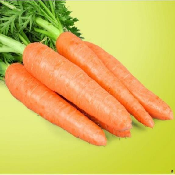 Hạt Giống Cà Rốt Shin Kuroda - Gói 5 Gram