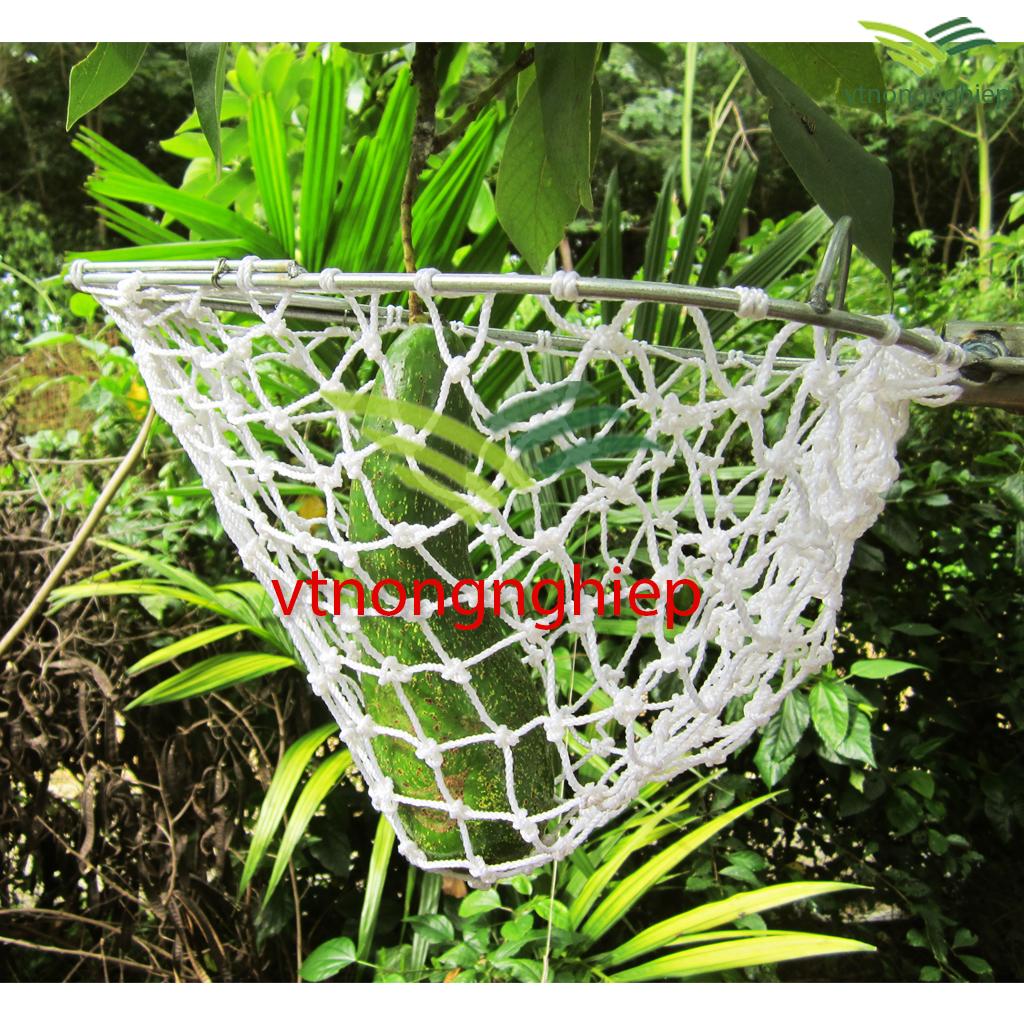 Dụng cụ hái trái cây trên cao