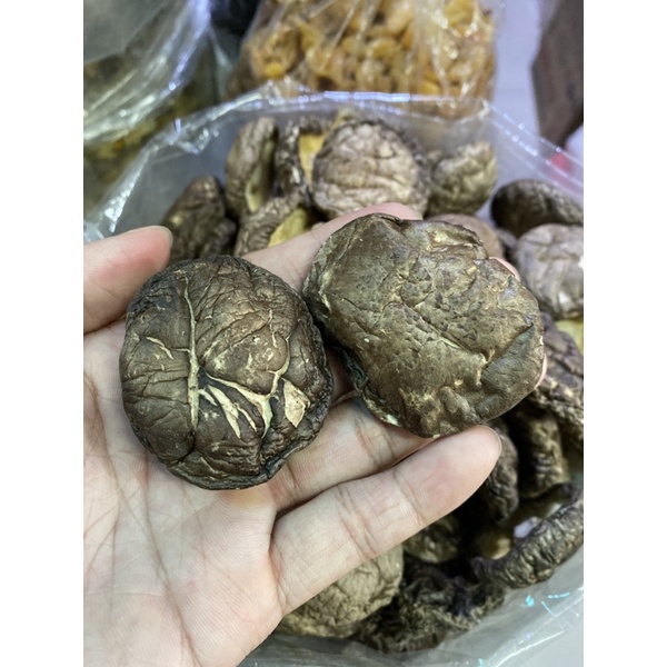 Nấm đông cô đẹp size trung