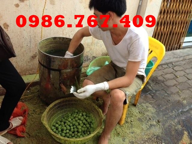 Máy bào sấu siêu nhanh