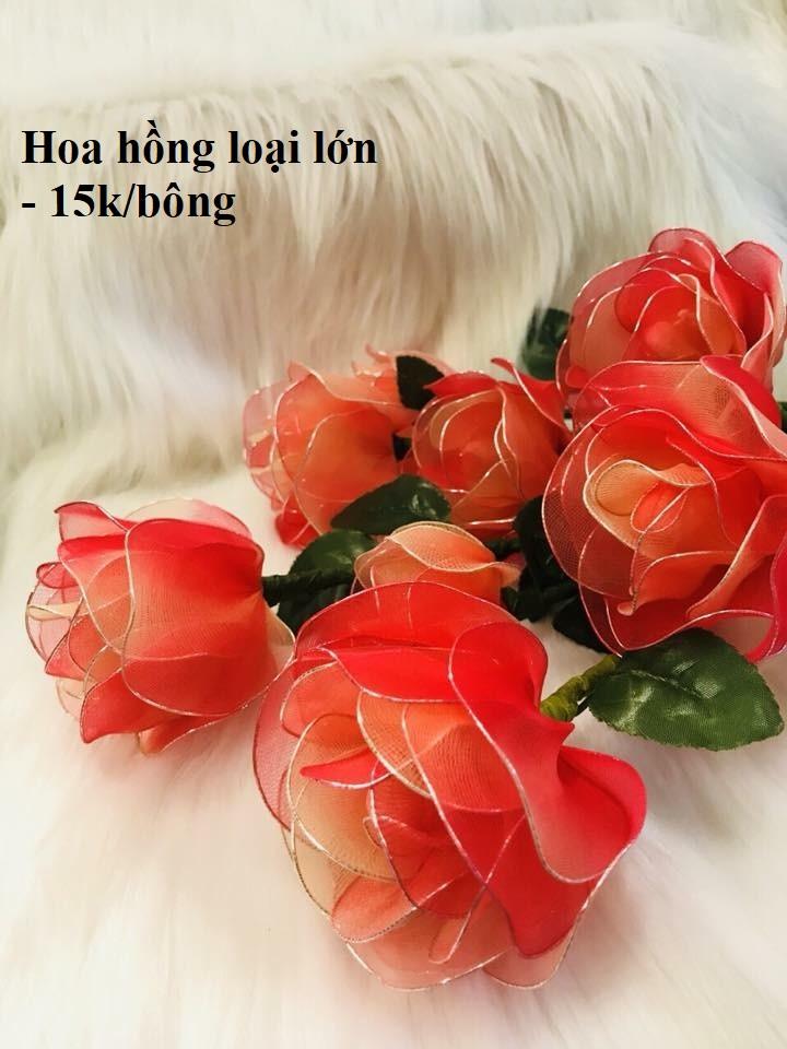 Bó hoa hồng 10 bông