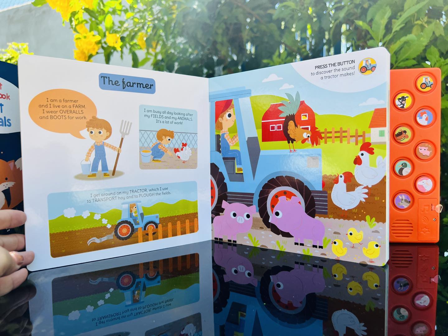 My First Sound Book: On the Farm
