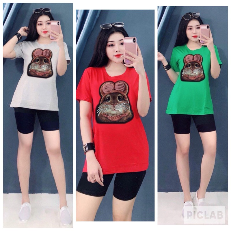 SET BỘ COTTON  THỎ KIMSA - TD31