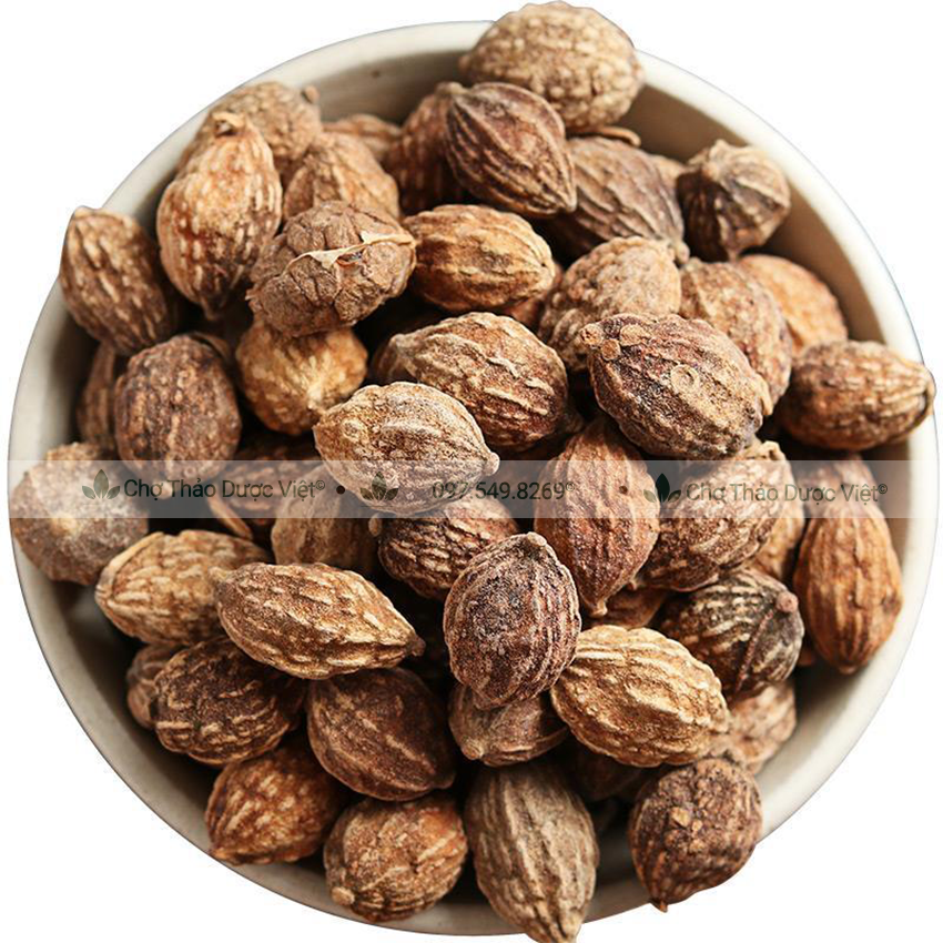 Ích trí nhân khô 1kg, hạt to, sạch, thơm, hỗ trợ bổ thận, giảm tiểu đêm, tốt cho đường tiết niệu
