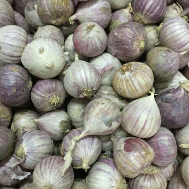 1Kg Tỏi Cô Đơn Phan Rang làm tỏi đen