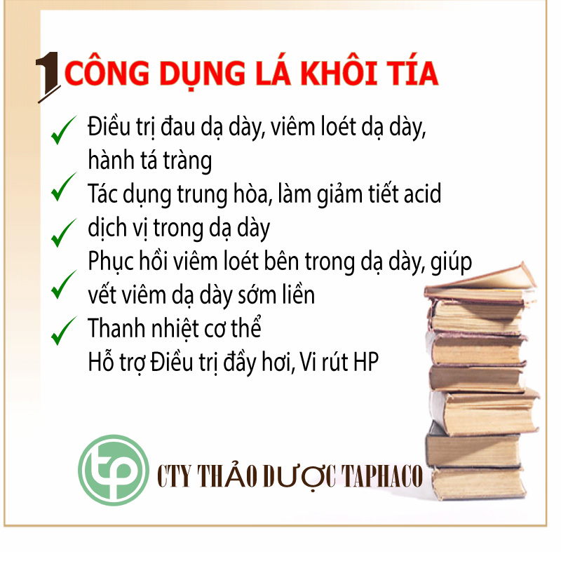 [Hàng mới về] Lá khôi tía khô túi lớn loại 500gram - Thảo Dược Tấn Phát - Hỗ trợ tốt cho sức khoẻ dạ dày