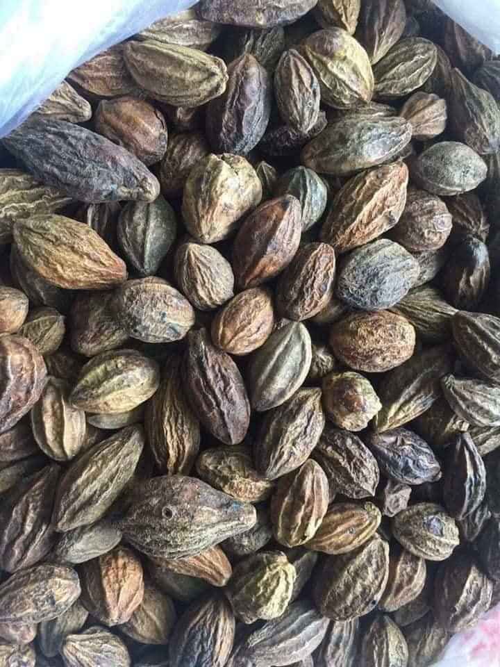 1KG QUẢ KHA TỬ