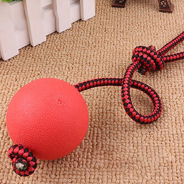 [HOÀN TIỀN 10%]Đồ chơi bóng cao su gắn dây cho thú cưng - CutePets
