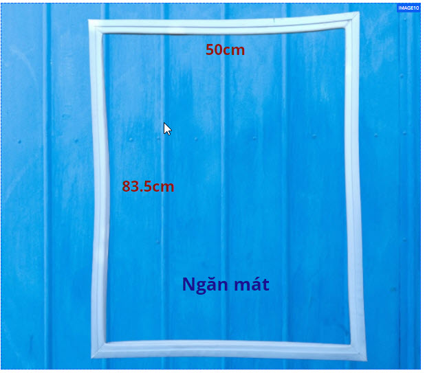 Ron tủ lạnh Samsung MODEL - RT19M300BGS