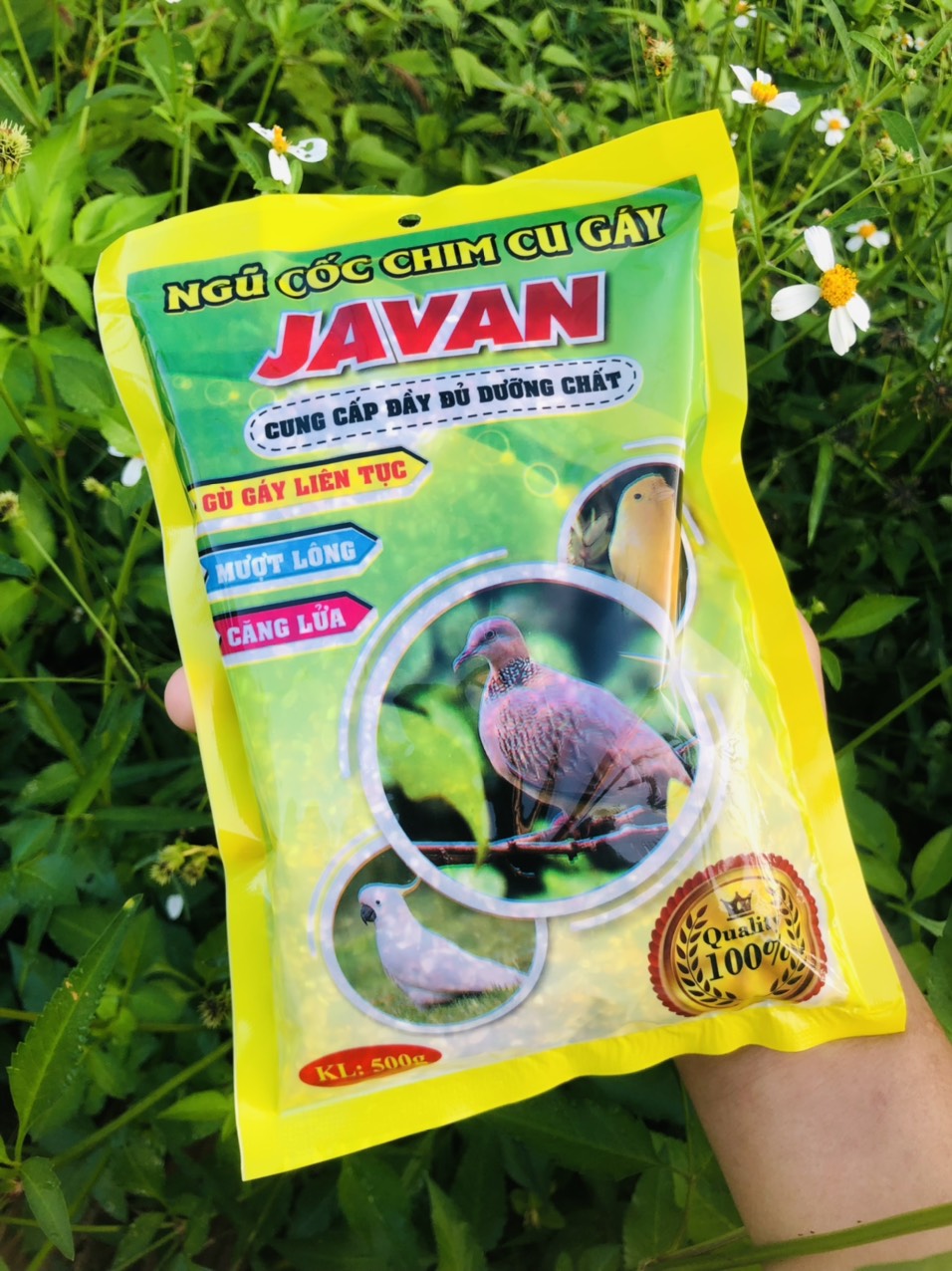 Ngũ cốc chim cu gáy Javan 500gram