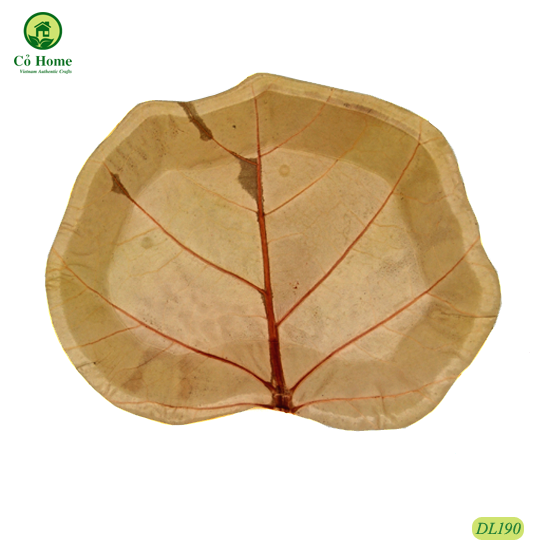 SET 10 ĐĨA LÁ- ĐĨA ĐỘC ĐÁO- CỎ HOME