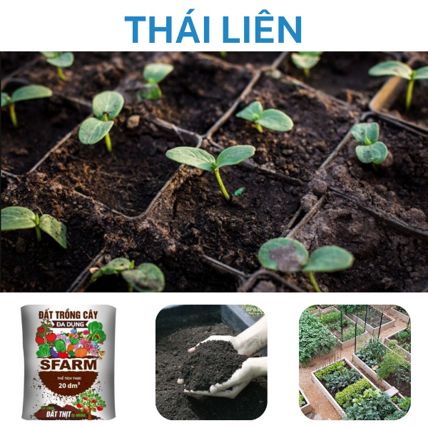 [Túi chiết 2kg] Đất trồng cây đa dụng Sfarm có chứa đất thịt tự nhiên