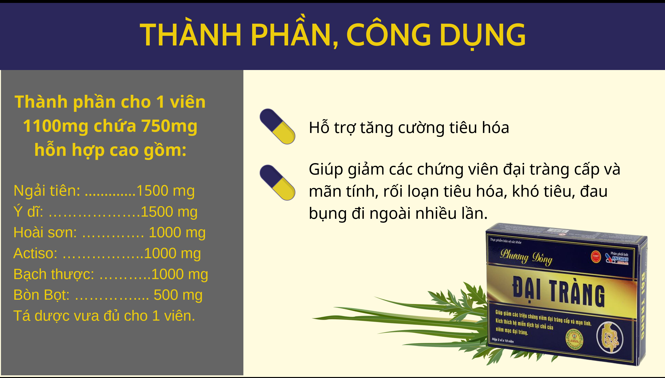 phương Đông đại tràng