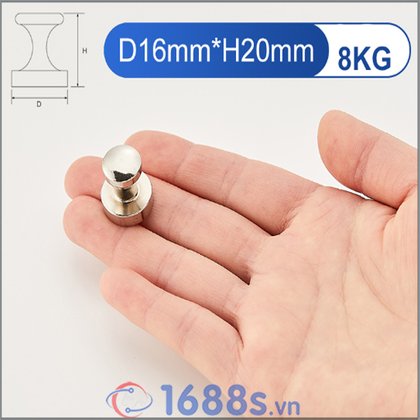 Nam châm núm inox đính bảng - 1688s.vn