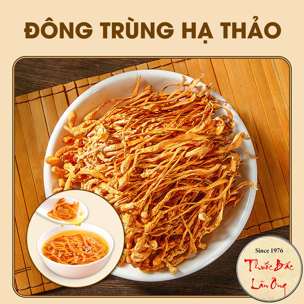 Đông trùng hạ thảo 500g, trà đông trùng bồi bổ sức khỏe, nấu lẩu, hầm canh, hầm gà thơm ngon, bổ dưỡng - Lãn Ông