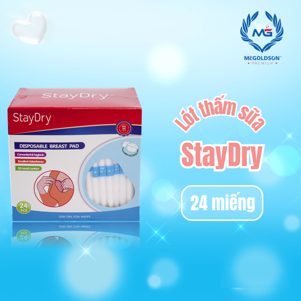 [HCM]Miếng lót thấm sữa StayDry (24 miếng/hộp)