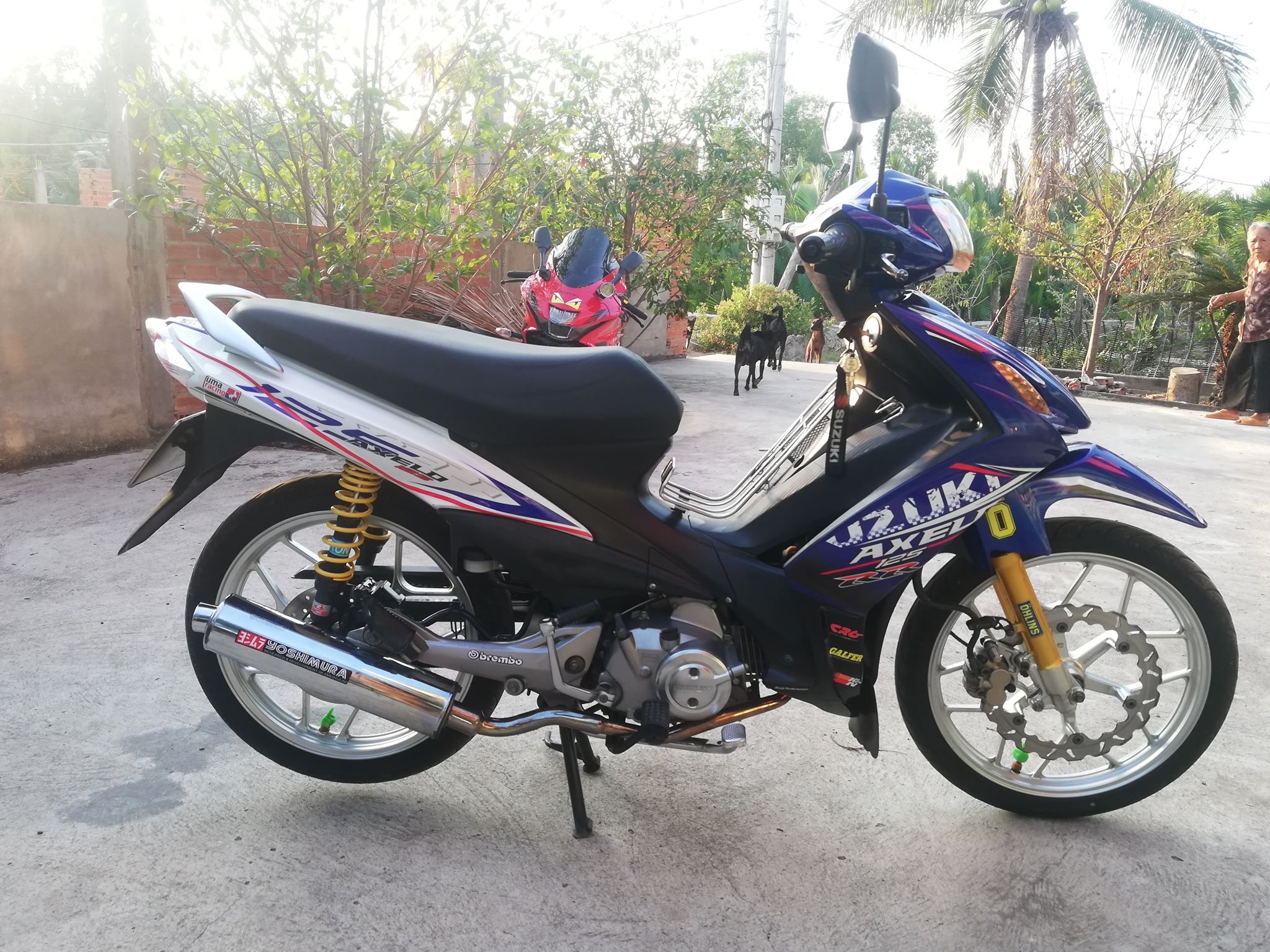 Tem rời axelo 125 mẫu mới trắng xanh