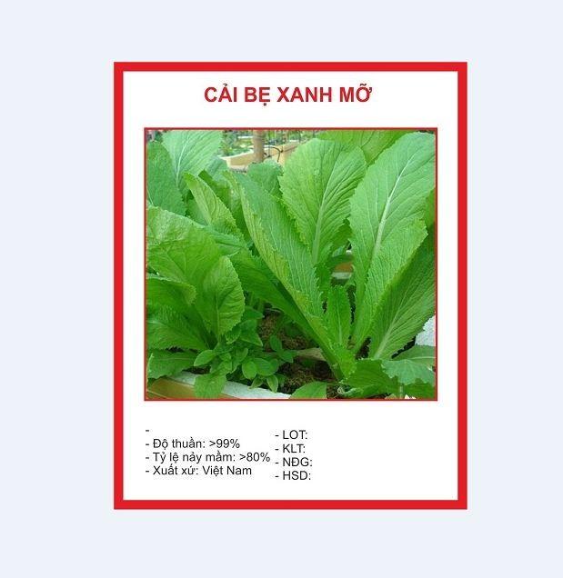 Combo 4 gói hạt giống rau cải ( cải ngòng + cải ngọt + cải xanh + cải chíp )