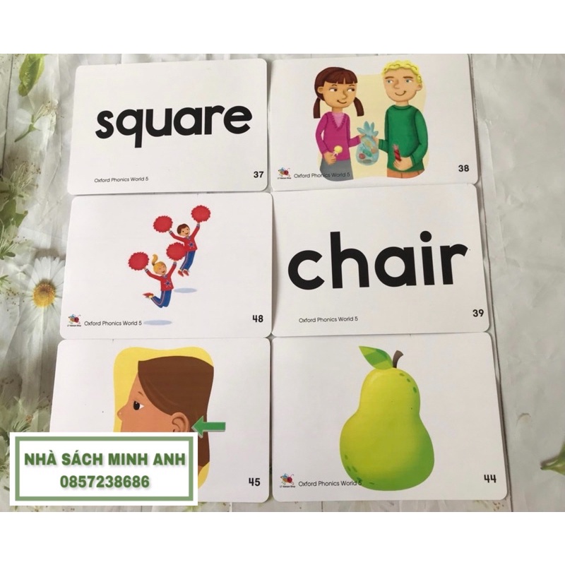 Flashcard OXFORD PHONICS WORLD 5-96 thẻ (khổ A5-cán bóng)