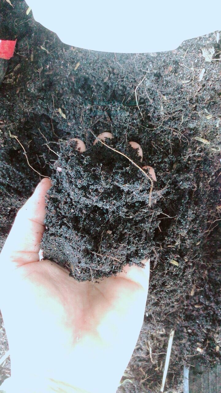 Đất trồng cây cảnh,trồng rau củ