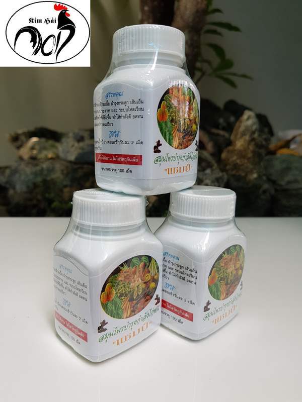 COMBO 3 LỌ VITAMIN RAU CỦ QUẢ-CUNG CẤP CHẤT XƠ,RAU CỦ CHO GÀ ĐÁ-THUỐC GÀ ĐÁ-LỌ 100V - RC11