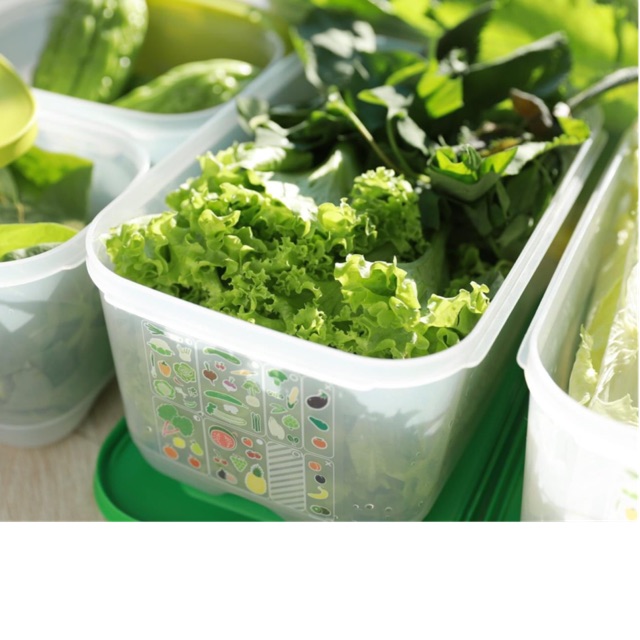 Hộp trữ mát Vensmart 4.4L Tupperware