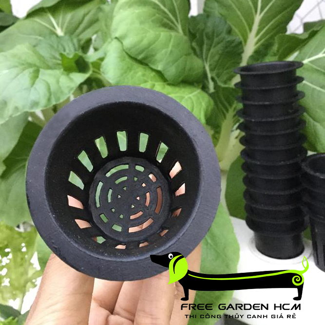 RỌ NHỰA TRỒNG RAU PHI 55 HOẶC PHI 65 COMBO 100 CÁI