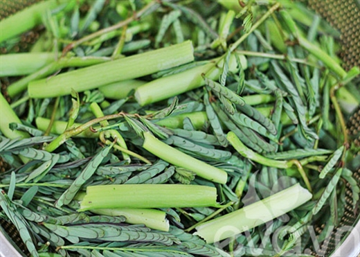 Hạt giống rau rút (rau nhút)