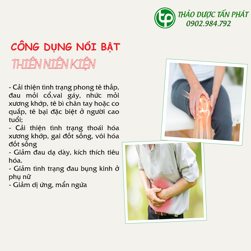 [Hàng mới về] Thiên niên kiện khô túi lớn 500gram - Tấn phát - Hỗ trợ cải thiện sức khoẻ